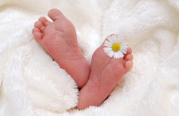 � ������ ������� ���������������� ������ ������ 