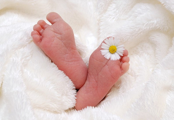 � ������ ������� ���������������� ������ ������ 