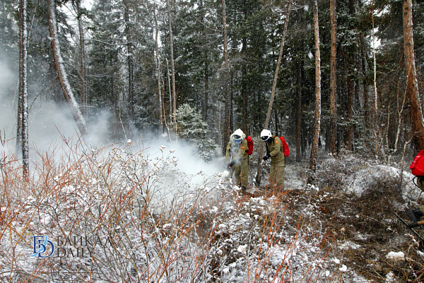 Забайкалье получит более миллиарда на борьбу с лесными пожарами