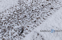 �������� ���� �� ����� �� �������� ����� � ������� 