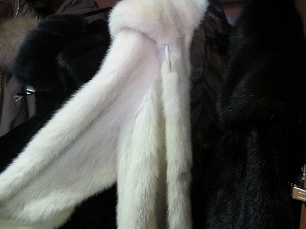 ������ ������� ����� �������� �������� ������ 