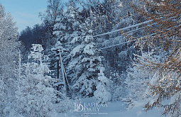 В Бурятии госинспектора эвакуировали с кордона на вертолёте 