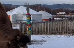 � ������� ������� ������ ������� � ����������� 