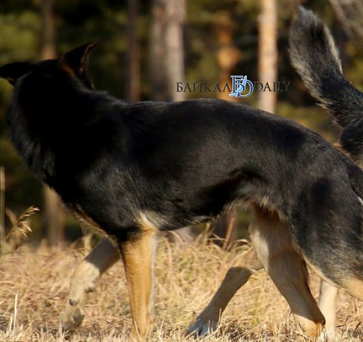 � ��������� ������� �� ����������� ������ ������ �������� ������