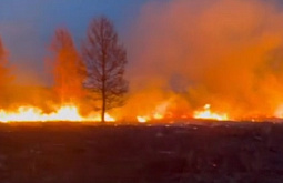 За сутки в Бурятии возникло пять лесных пожаров  
