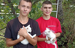 � ������� ��������-�������� ������ �����