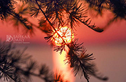 � ������� ������� ���������� ��� ����������� �� ������������ �������