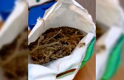 � ������� � ����������� ��������� ����� ����� ������� 