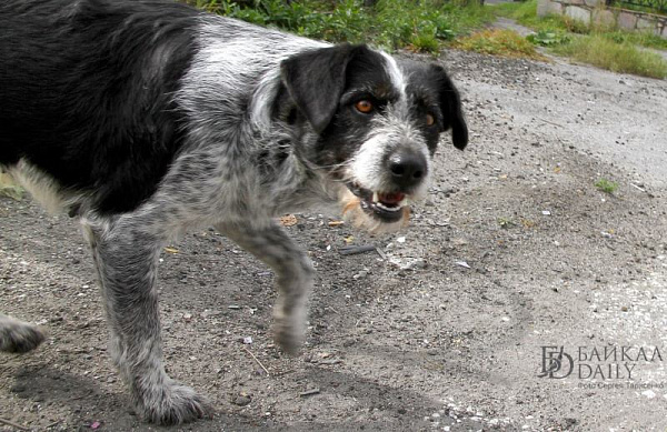 � ����-��� ����������� ���� ������ �� ���������� ������ � ���� �� ������