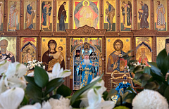 � ������� �������� ������������