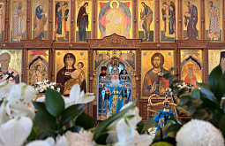 � ������� �������� ������������