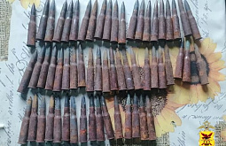 В Забайкалье из незаконного оборота изъяли 35 единиц оружия