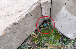 � ����-��� �������� ����������� ���� ������� 10 ��� �� ���� �������