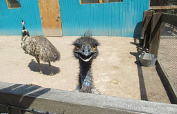 � ������� �� ���������� ����� ��������� ������ ������� ������������� ��� 