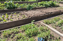 ������� ������� ��������� �������������� �������� �� ������������ ���������� � ��������