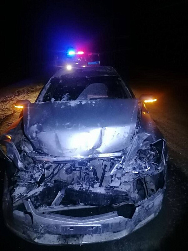   Honda    Toyota Hiace 