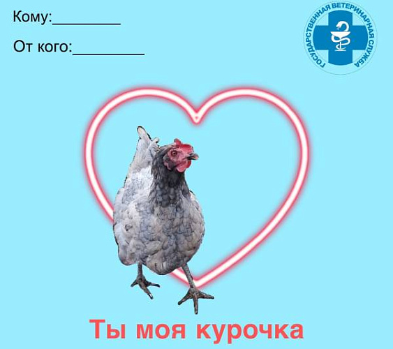 �� ��� �������: ���������� �� ������� ��������� ����������� ����������