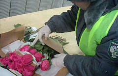 � ������� ������� ����� 14 ����� ����������� ���