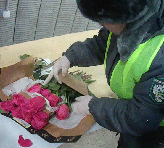 � ������� ������� ����� 14 ����� ����������� ���