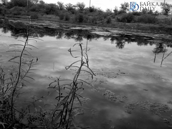 � ������� ������ ������� ������� 