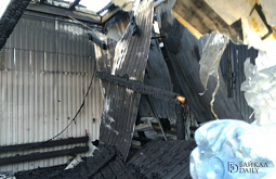 ����� ������ �������: ����� �� ��� � ����-��� �������� �� 1,5 ����