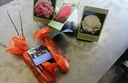 ���������� �� ���� ������� �� ������� ������� ��������� �� �����