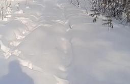 � ��������� ������� ��������� ����