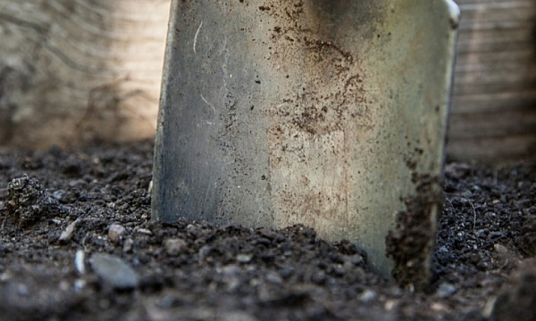 � ������� ������ ��������� � ��������� ���� 