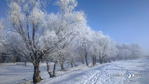 ����� � ������� ����� � ����� ����� �������� ������� �� �������