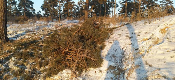 � ����-��� �������� ������� ����� 140 �������� 