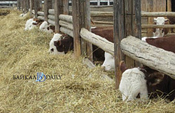 � ������� � ����� ����� ��������