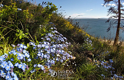 � ������� ������� ���� ����