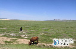 �� ��� ������� ��������� �����������