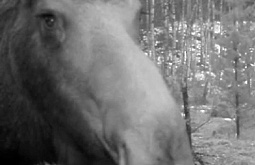 � ������� ������� ������ � ��������� ���������