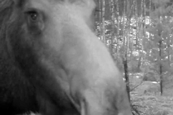 � ������� ������� ������ � ��������� ���������