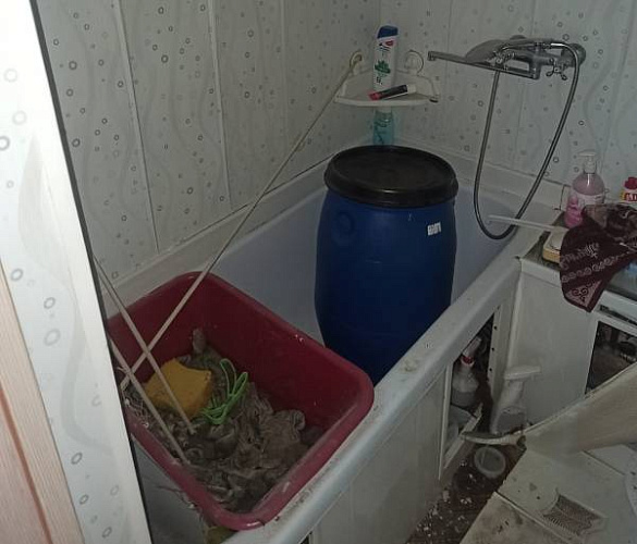 � ����-��� ����� �������� ����������� ������ ����������� �������� 