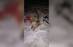 � ������ ������� ����� ������ �� ����� �����