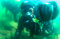 � ������� ��������� ������� ��������� ���������� �� ������� 