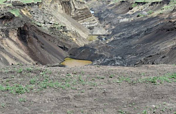 � ������� ����� ���������� ������ ��� ������ ���� 