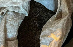 � ��������� ������� ������� �������� ����� � ������� �� ������ � �����������