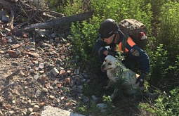 � ��������� ������� ��������� ������� ������-��������� ����� 