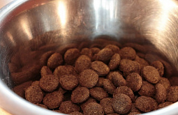 � ����-��� ����� 5 ���� ��������� ����� ��� ����������