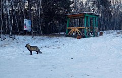 � �������� ������� ����������� �� ��������� ��������� ����