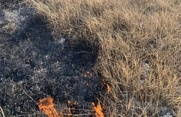 �� ����������� ������� � ����-��� ���������� �����