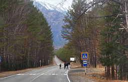 ������ ������� ������� �������� � ������������� ������ 2,5 ��� ������ 