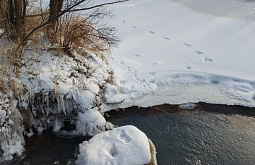 ���� ���������� ��������� �� �����������