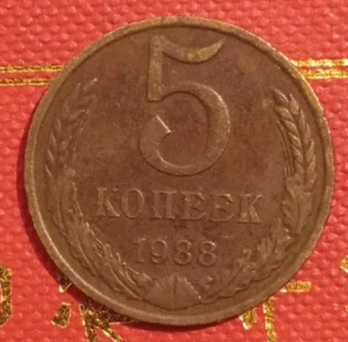 5 ������ � ������� ������� �� ������� ������