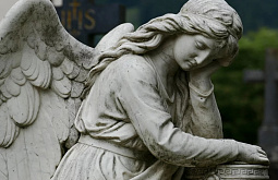 � ������� �������� ����������� 