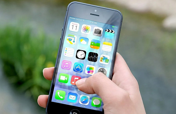 � ������� � ������������ � ���� �������� �������� �����������