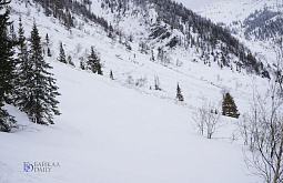 � ������� �������� ���� ����� 